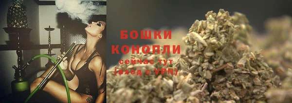 прущие грибы Арсеньев