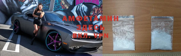 прущие грибы Арсеньев