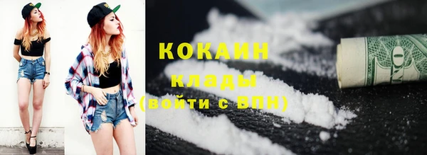 шишки Аркадак