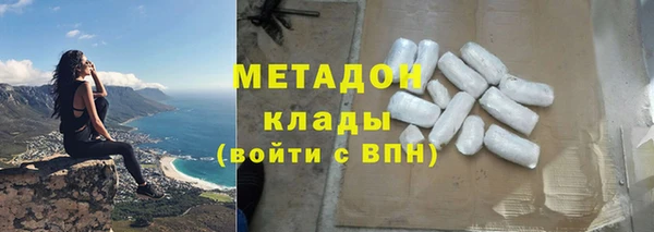 прущие грибы Арсеньев