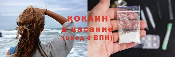 шишки Аркадак