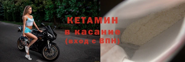 шишки Аркадак