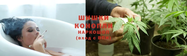 шишки Аркадак