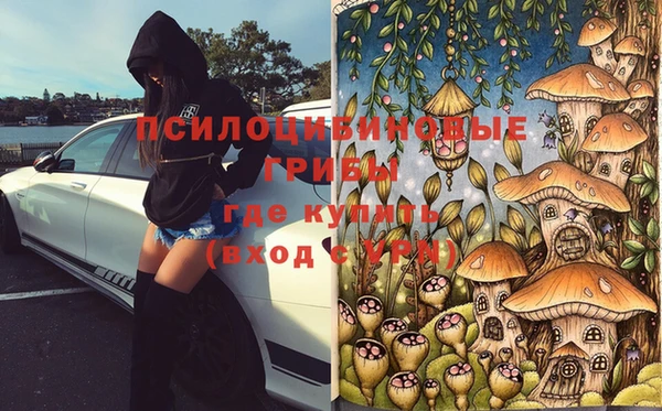 прущие грибы Арсеньев