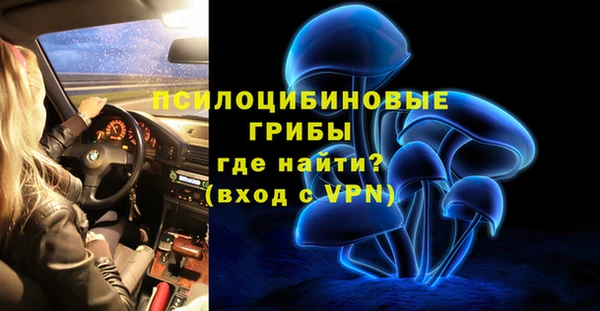 прущие грибы Арсеньев